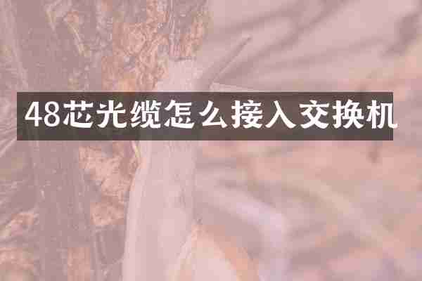 48芯光缆怎么接入交换机