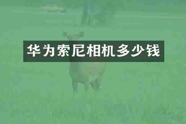 华为相机多少钱