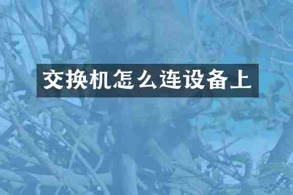 交换机怎么连设备上