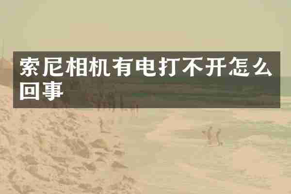 相机有电打不开怎么回事
