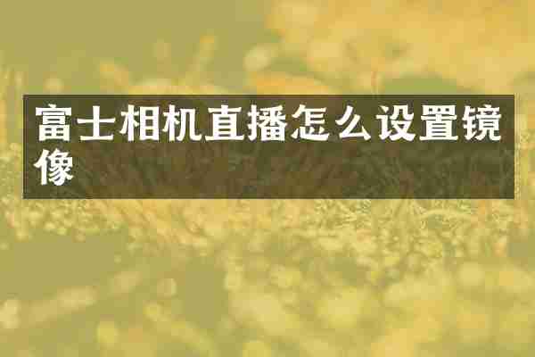 富士相机直播怎么设置镜像