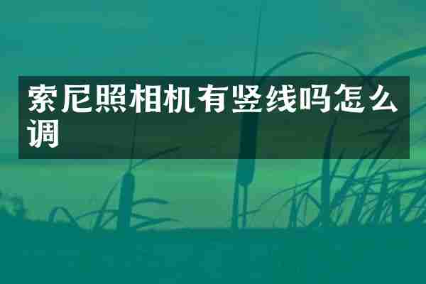 索尼照相机有竖线吗怎么调