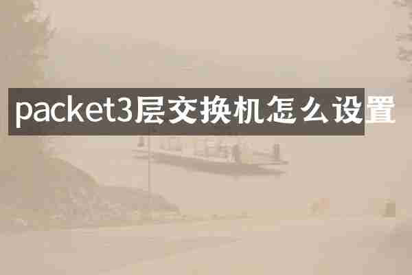 packet3层交换机怎么设置