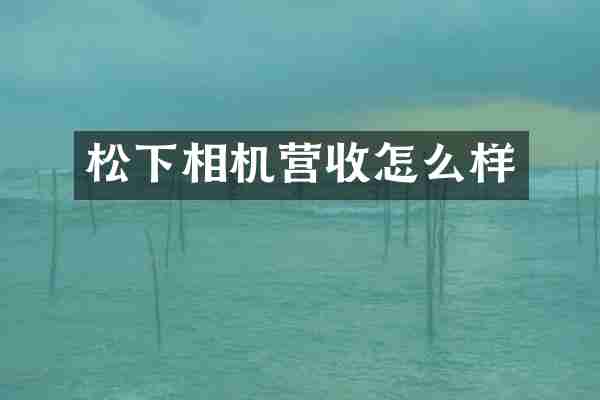 松下相机营收怎么样