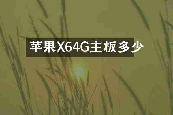 苹果X64G主板多少