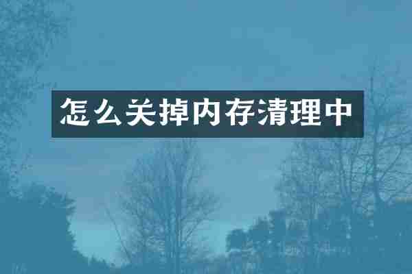 怎么关掉内存清理中