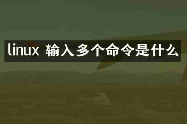 linux 输入多个命令是什么