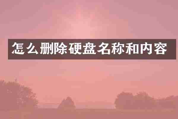 怎么删除硬盘名称和内容