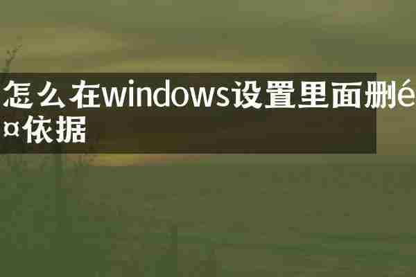 怎么在windows设置里面删除依据