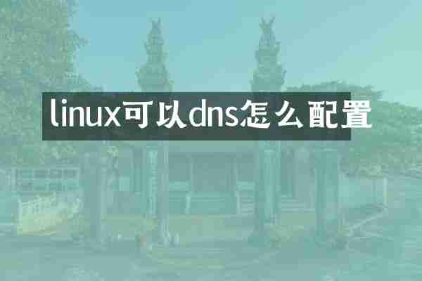 linux可以dns怎么配置