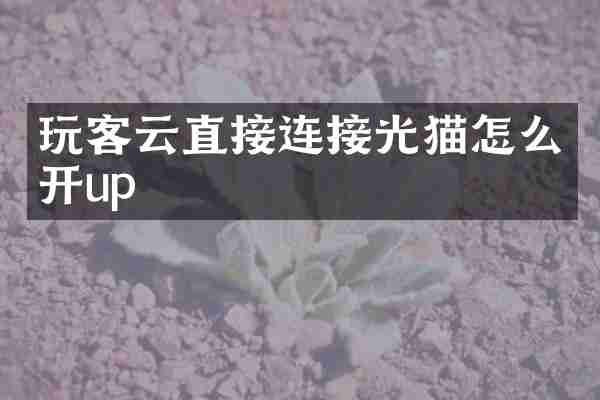 玩客云直接连接光猫怎么开up