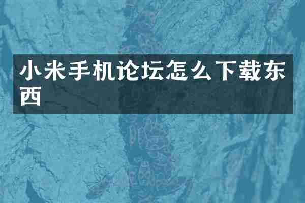 小米手机论坛怎么下载东西