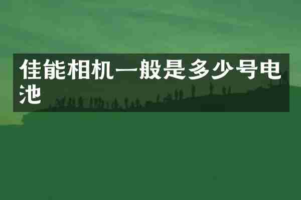 佳能相机一般是多少号电池