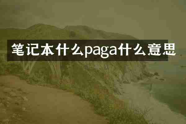 笔记本什么paga什么意思