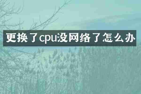 更换了cpu没网络了怎么办