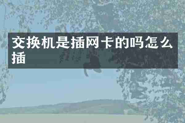 交换机是插网卡的吗怎么插