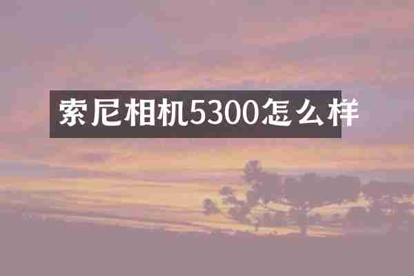 索尼相机5300怎么样