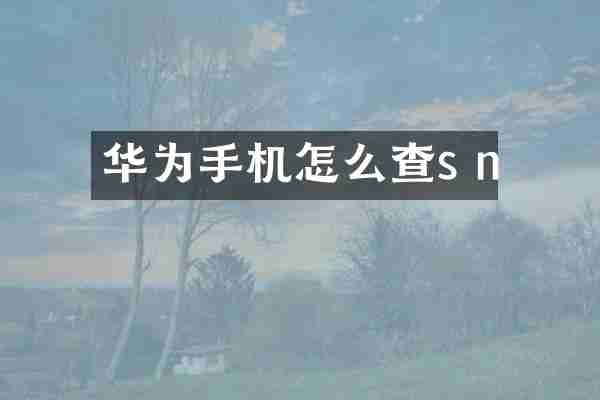 华为手机怎么查s n