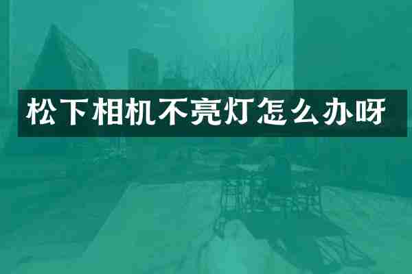 松下相机不亮灯怎么办呀