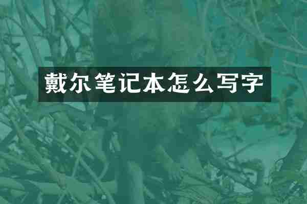 戴尔笔记本怎么写字