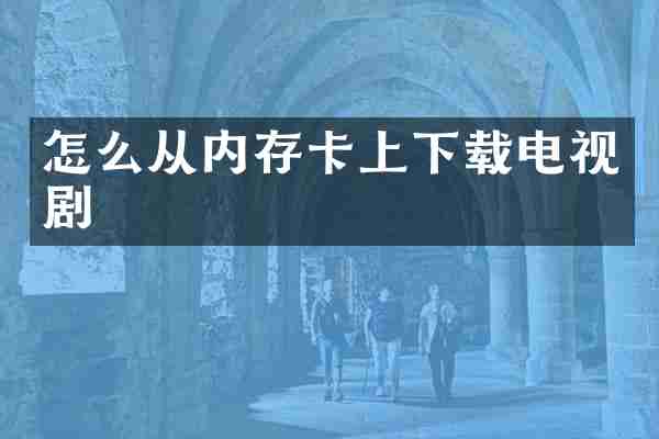 怎么从内存卡上下载电视剧