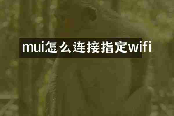 mui怎么连接指定wifi