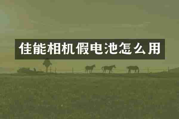 佳能相机假电池怎么用