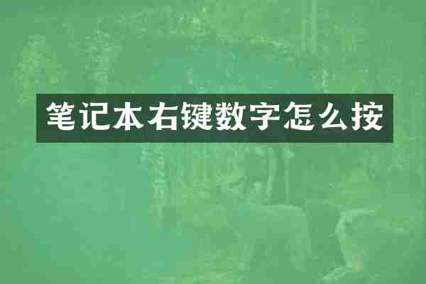 笔记本右键数字怎么按