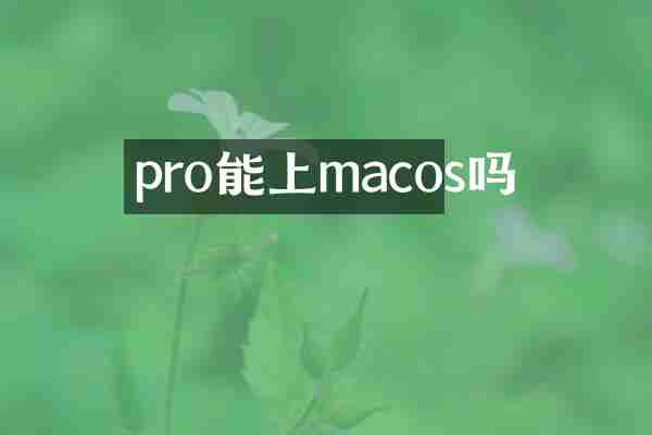 pro能上macos吗