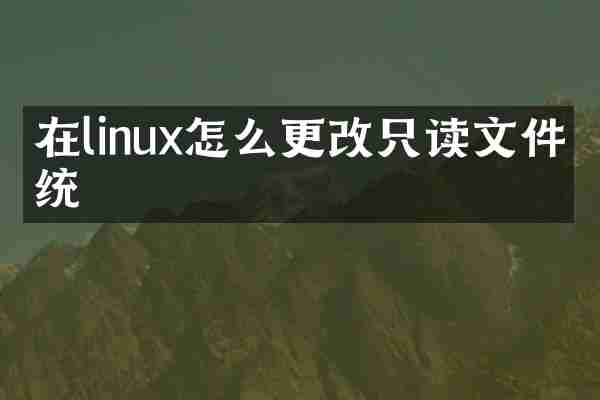 在linux怎么更改只读文件系统