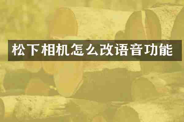 松下相机怎么改语音功能