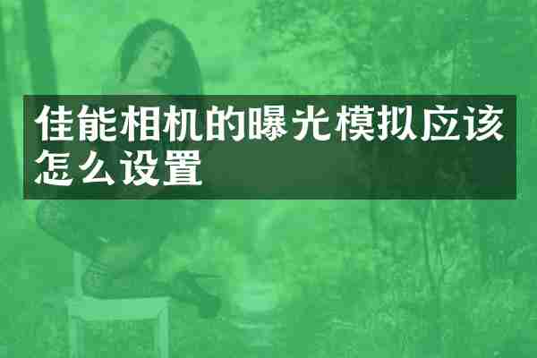 佳能相机的曝光模拟应该怎么设置