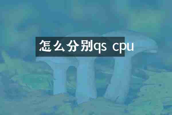 怎么分别qs cpu