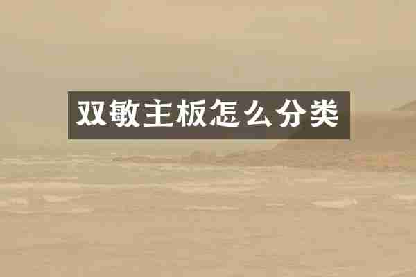 双敏主板怎么分类