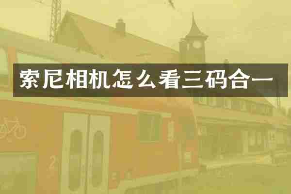 索尼相机怎么看三码合一