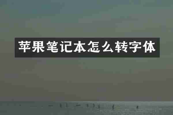苹果笔记本怎么转字体