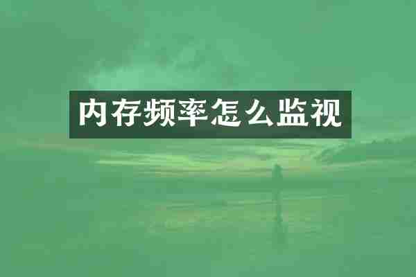 内存频率怎么监视