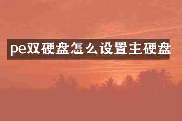 pe双硬盘怎么设置主硬盘