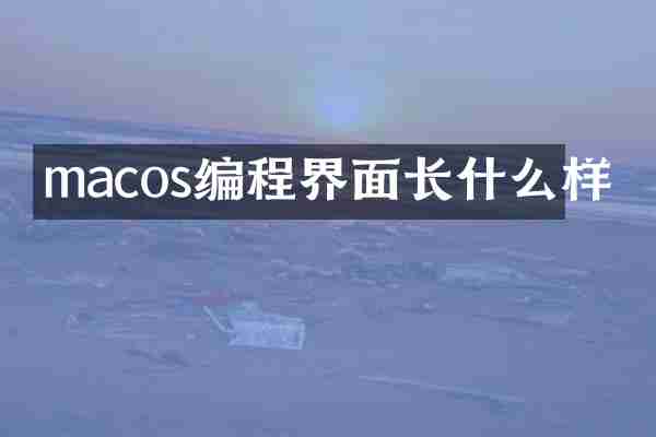 macos编程界面长什么样