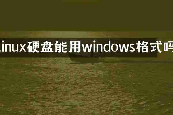 linux硬盘能用windows格式吗