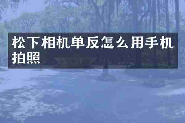 松下相机单反怎么用手机拍照