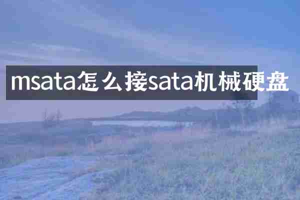 msata怎么接sata机械硬盘