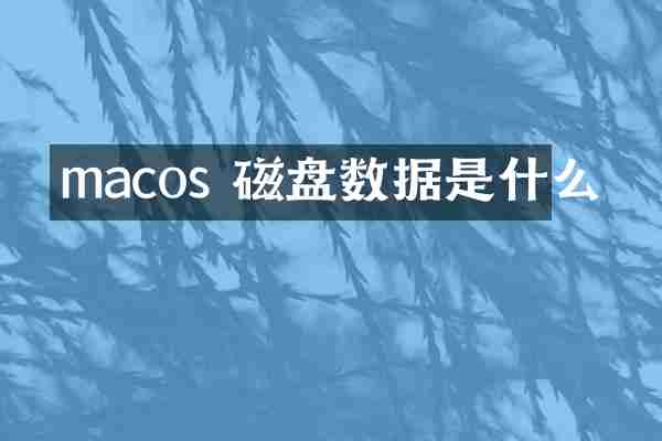 macos 磁盘数据是什么
