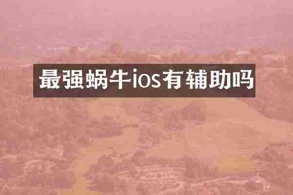 最强蜗牛ios有辅助吗
