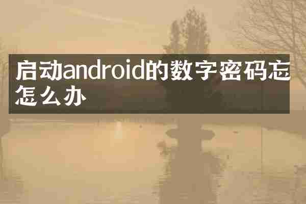 启动android的数字密码忘了怎么办