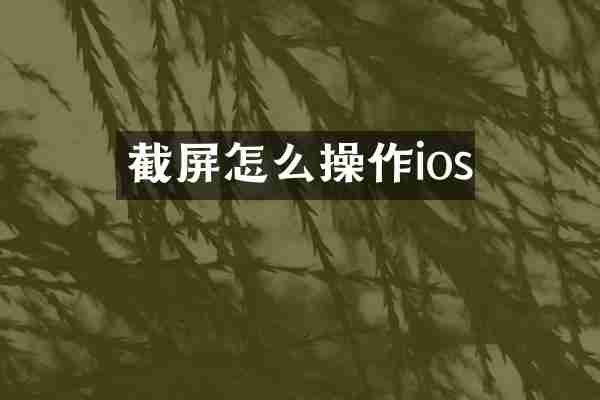 截屏怎么操作ios