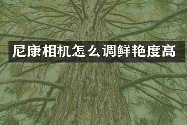 尼康相机怎么调鲜艳度高