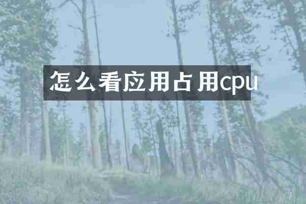 怎么看应用占用cpu