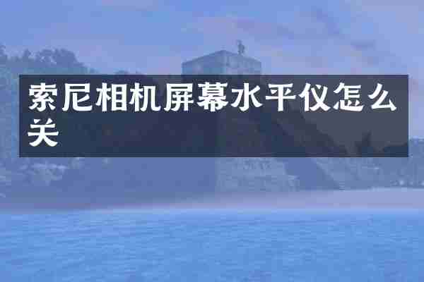 索尼相机屏幕水平仪怎么关