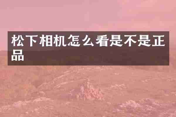 松下相机怎么看是不是正品